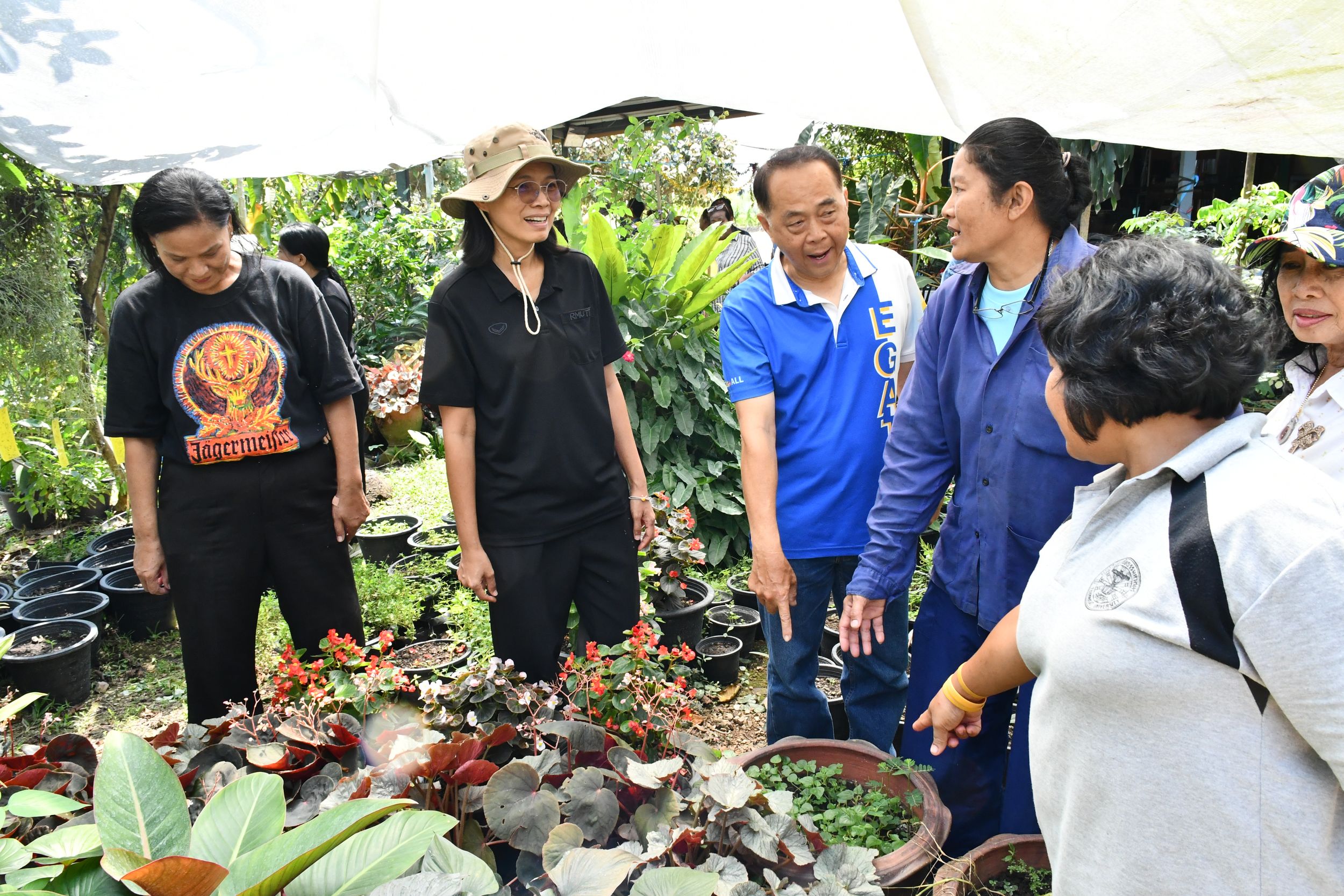 โครงการถ่ายทอดกระบวนการปลูกและเทคโนโลยีการแปรรูปขั้นตอนเพื่อเพิ่มมูลค่าดอกอัญชันสำหรับใช้เป็นส่วนประกอบอาหารมูลค่าสูง
