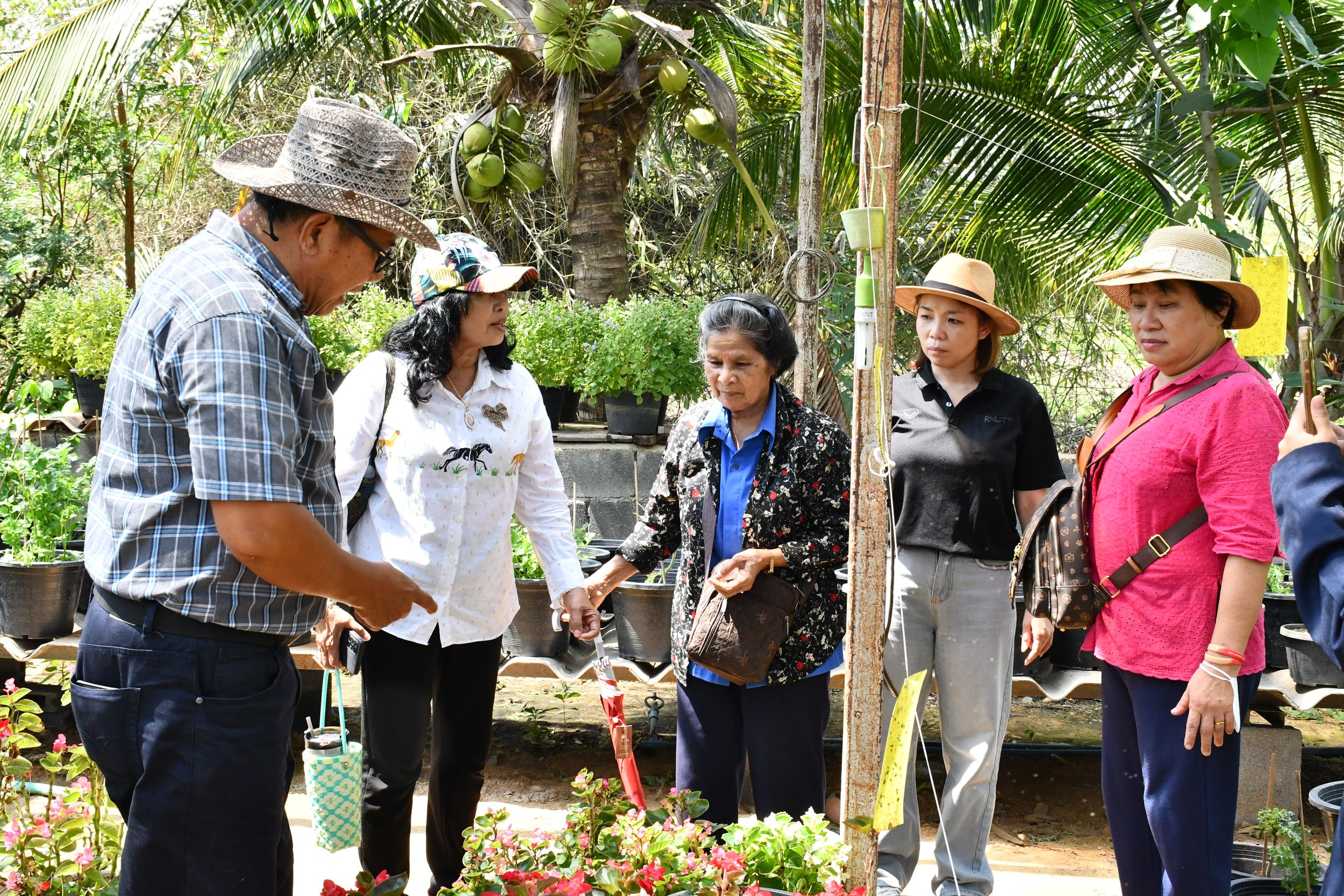 โครงการถ่ายทอดกระบวนการปลูกและเทคโนโลยีการแปรรูปขั้นตอนเพื่อเพิ่มมูลค่าดอกอัญชันสำหรับใช้เป็นส่วนประกอบอาหารมูลค่าสูง