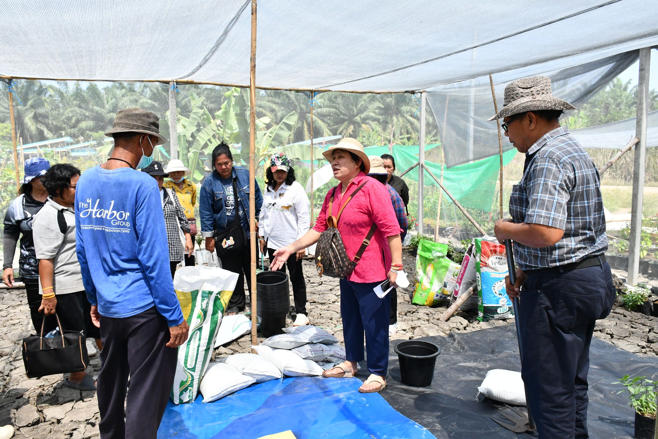 โครงการถ่ายทอดกระบวนการปลูกและเทคโนโลยีการแปรรูปขั้นตอนเพื่อเพิ่มมูลค่าดอกอัญชันสำหรับใช้เป็นส่วนประกอบอาหารมูลค่าสูง