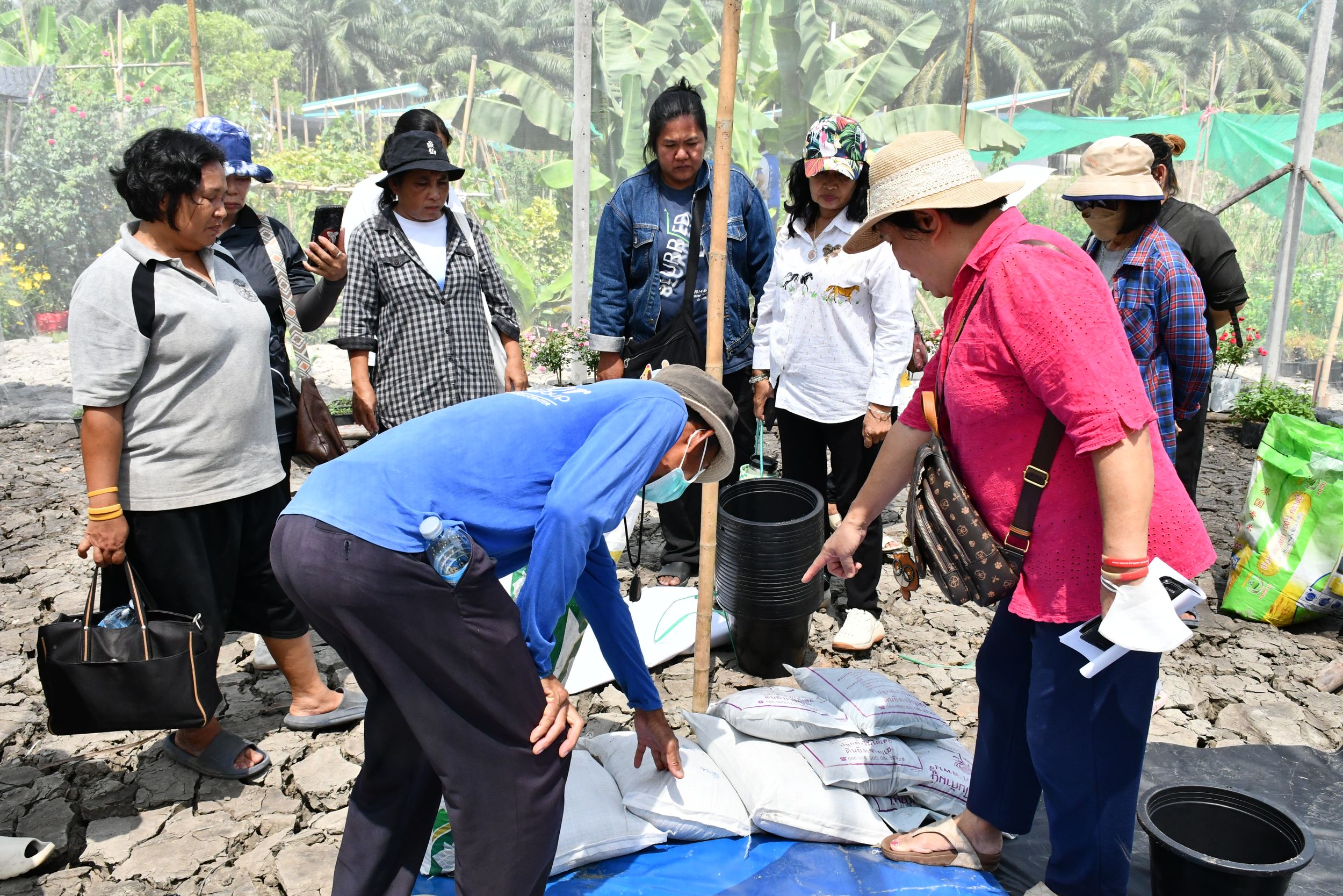 โครงการถ่ายทอดกระบวนการปลูกและเทคโนโลยีการแปรรูปขั้นตอนเพื่อเพิ่มมูลค่าดอกอัญชันสำหรับใช้เป็นส่วนประกอบอาหารมูลค่าสูง