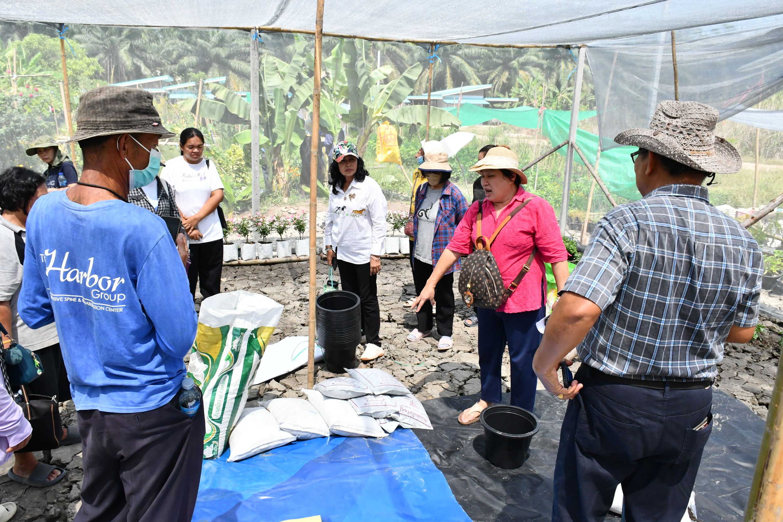 โครงการถ่ายทอดกระบวนการปลูกและเทคโนโลยีการแปรรูปขั้นตอนเพื่อเพิ่มมูลค่าดอกอัญชันสำหรับใช้เป็นส่วนประกอบอาหารมูลค่าสูง