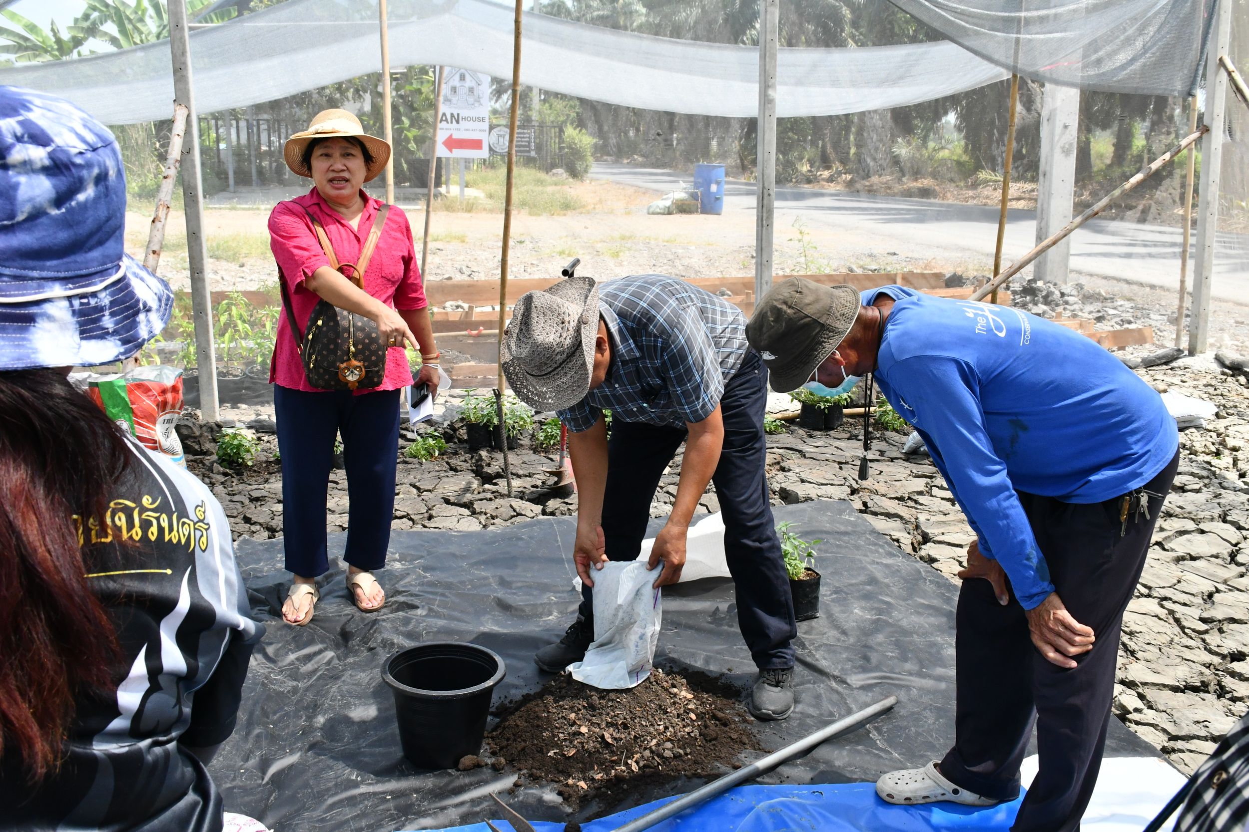 โครงการถ่ายทอดกระบวนการปลูกและเทคโนโลยีการแปรรูปขั้นตอนเพื่อเพิ่มมูลค่าดอกอัญชันสำหรับใช้เป็นส่วนประกอบอาหารมูลค่าสูง